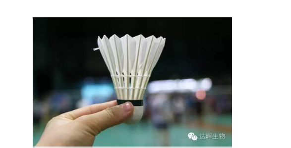 甜性涩爱迅雷下载