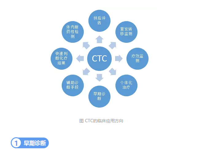 甜性涩爱迅雷下载