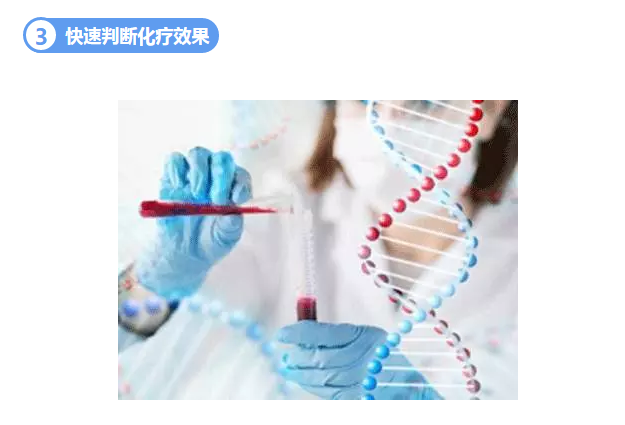 甜性涩爱迅雷下载