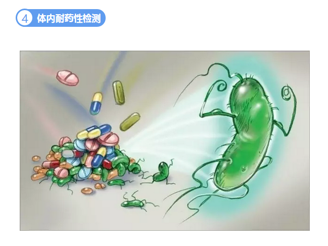 甜性涩爱迅雷下载