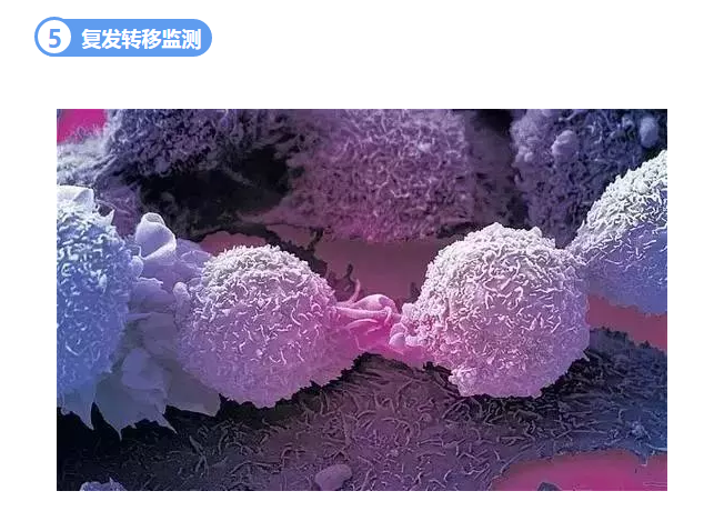 甜性涩爱迅雷下载