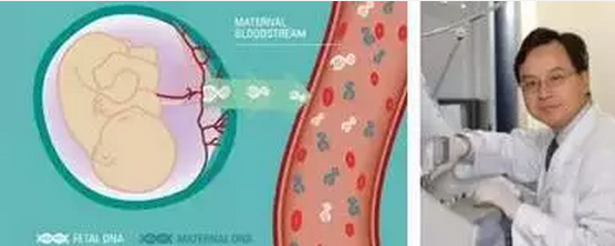 甜性涩爱迅雷下载