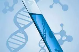 甜性涩爱迅雷下载