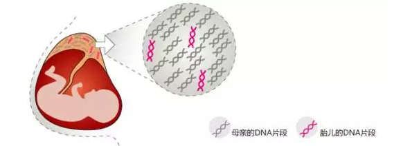 甜性涩爱迅雷下载