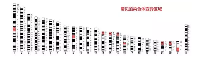 甜性涩爱迅雷下载
