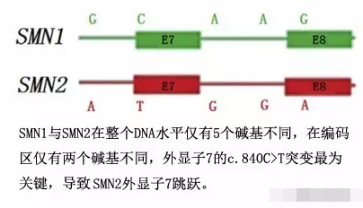 甜性涩爱迅雷下载