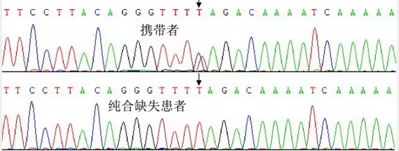 甜性涩爱迅雷下载