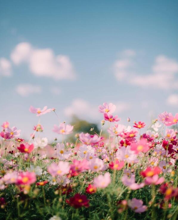甜性涩爱迅雷下载