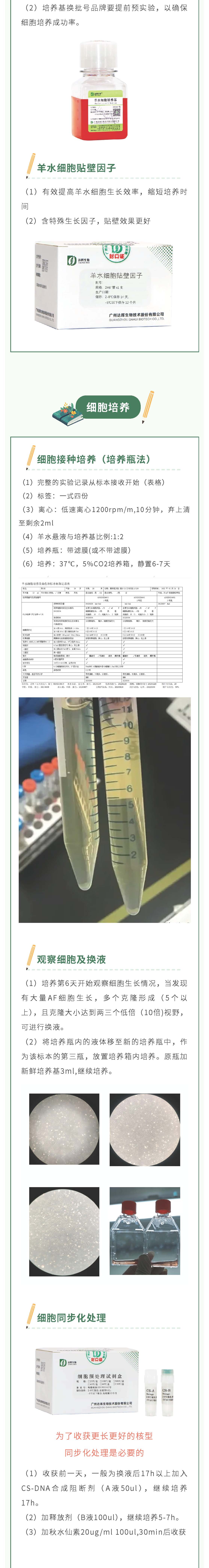 甜性涩爱迅雷下载