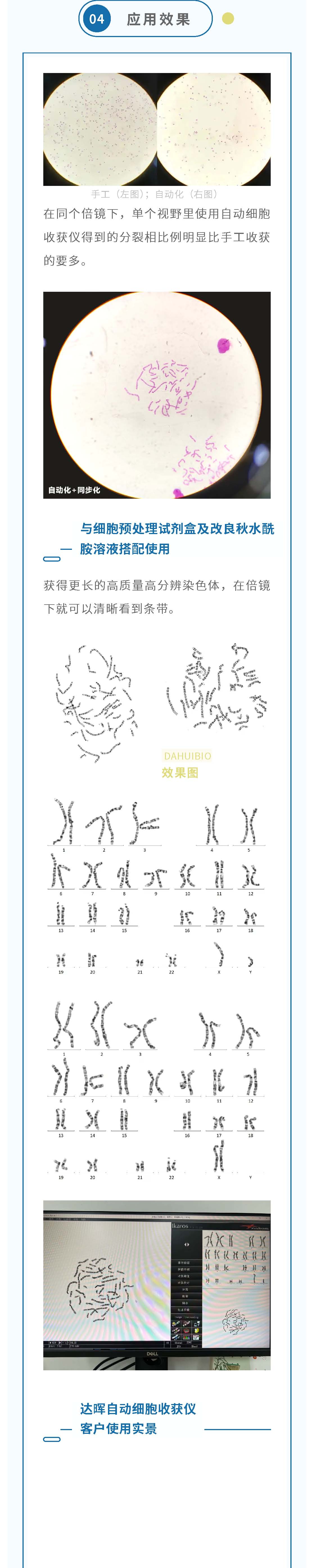 甜性涩爱迅雷下载