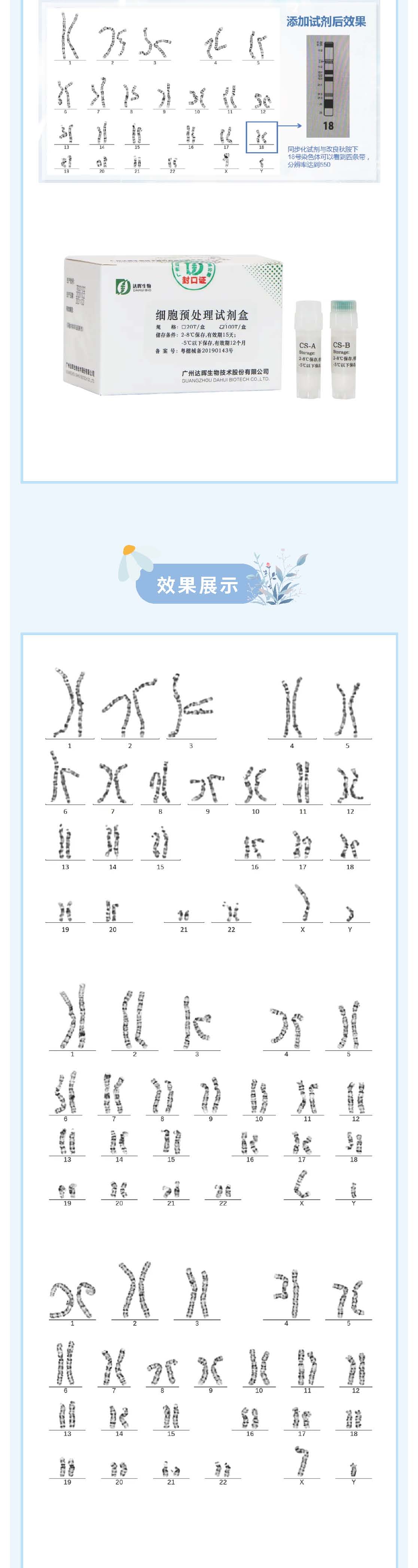 甜性涩爱迅雷下载
