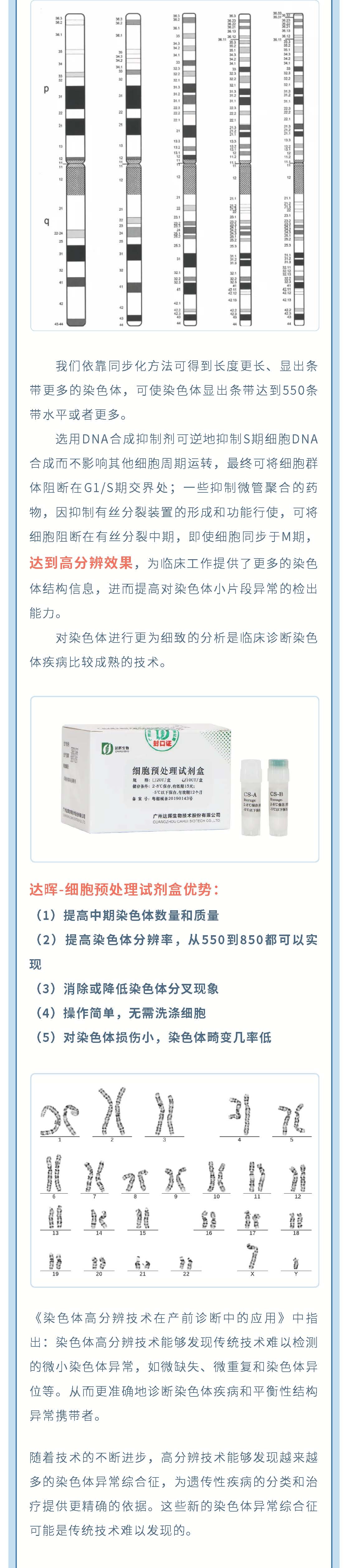 甜性涩爱迅雷下载