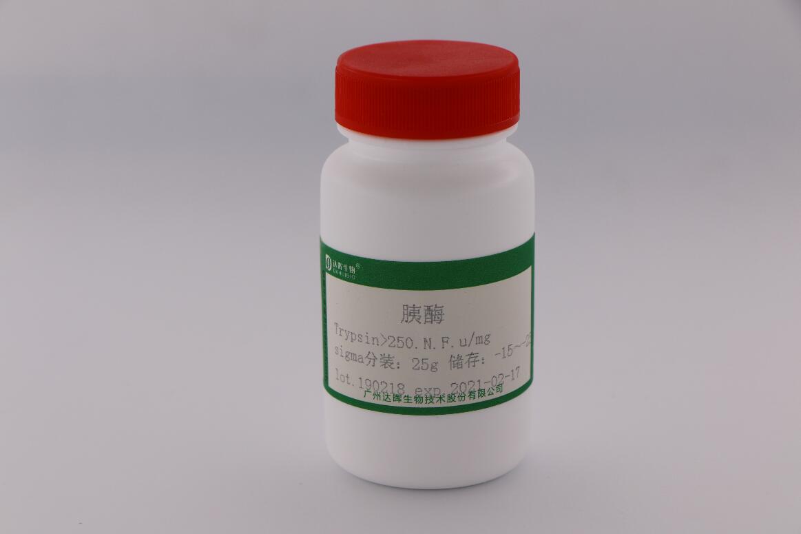 甜性涩爱迅雷下载