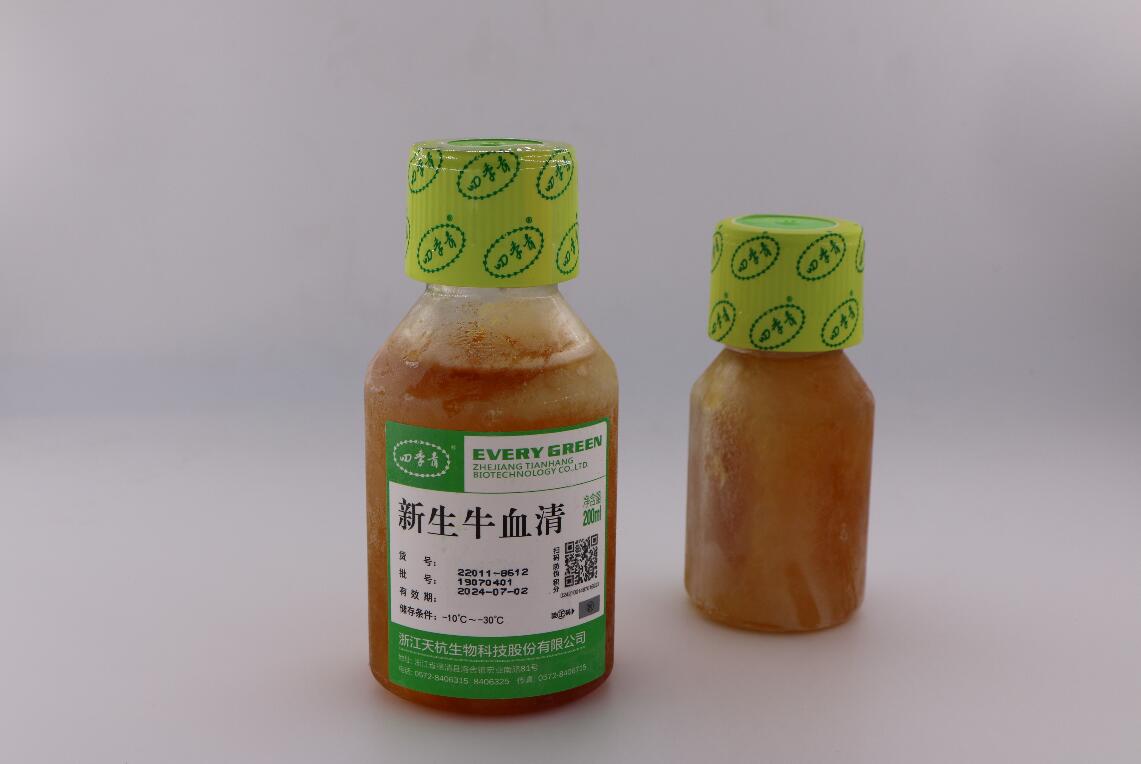 甜性涩爱迅雷下载