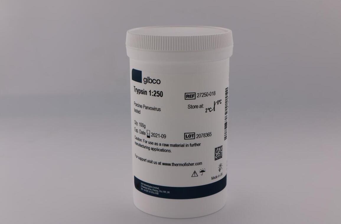 甜性涩爱迅雷下载