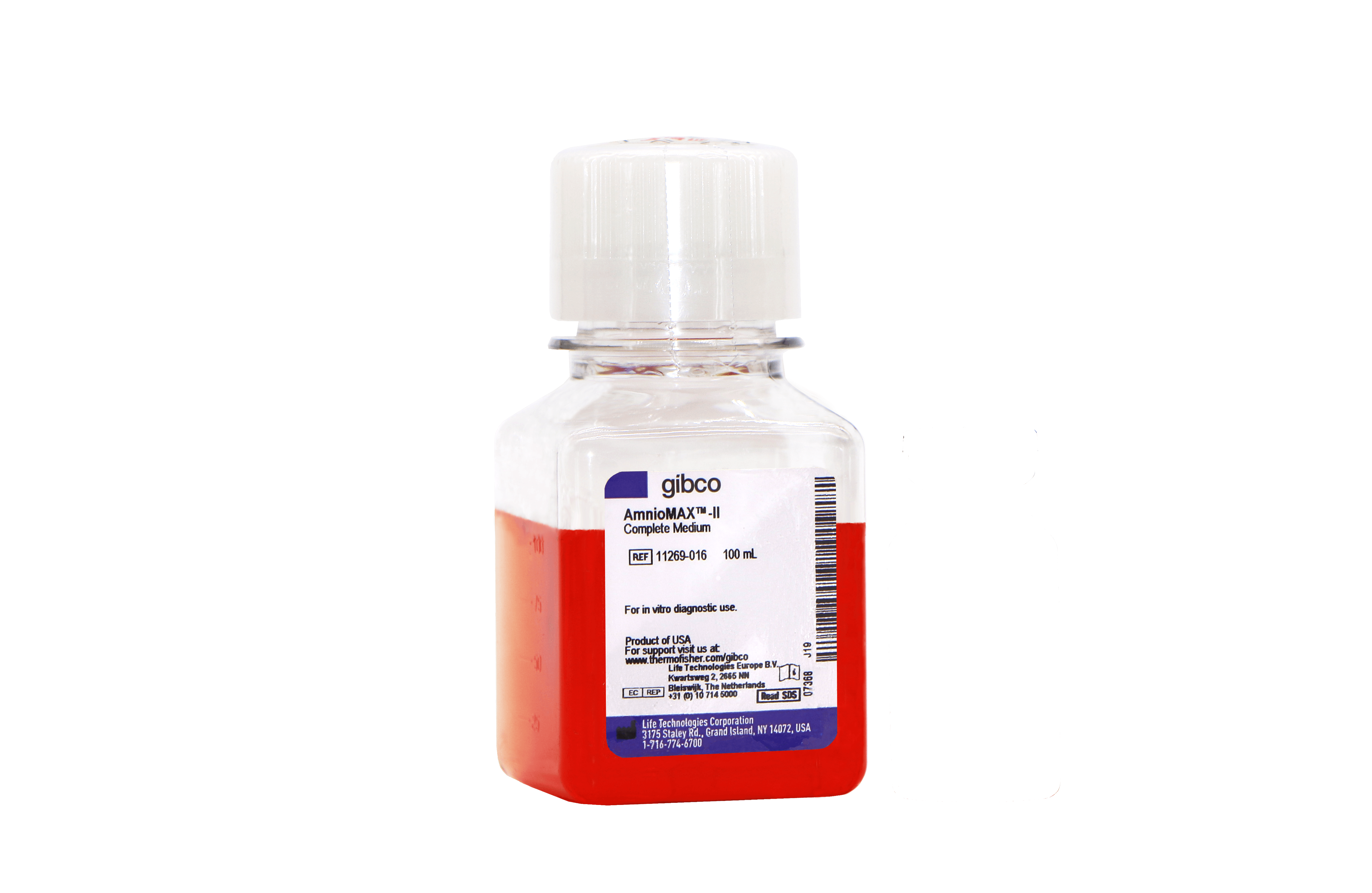 甜性涩爱迅雷下载