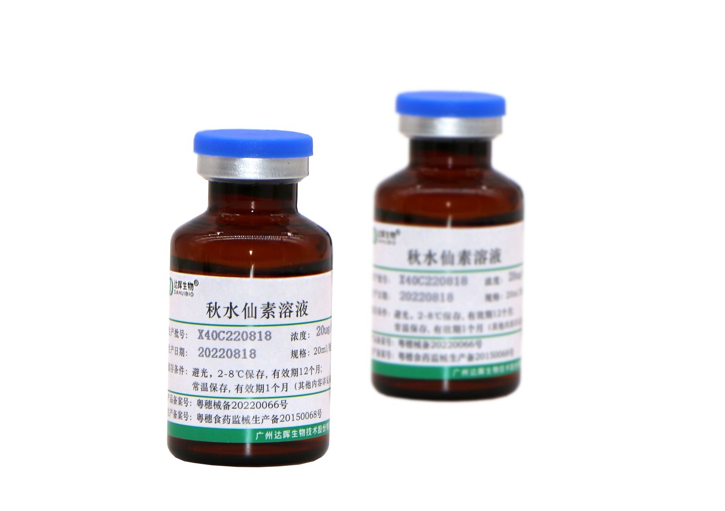 甜性涩爱迅雷下载