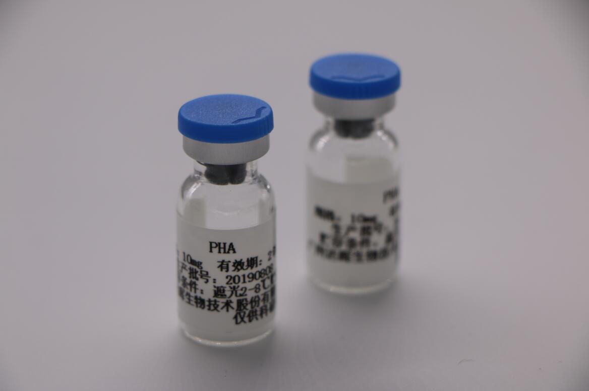 甜性涩爱迅雷下载