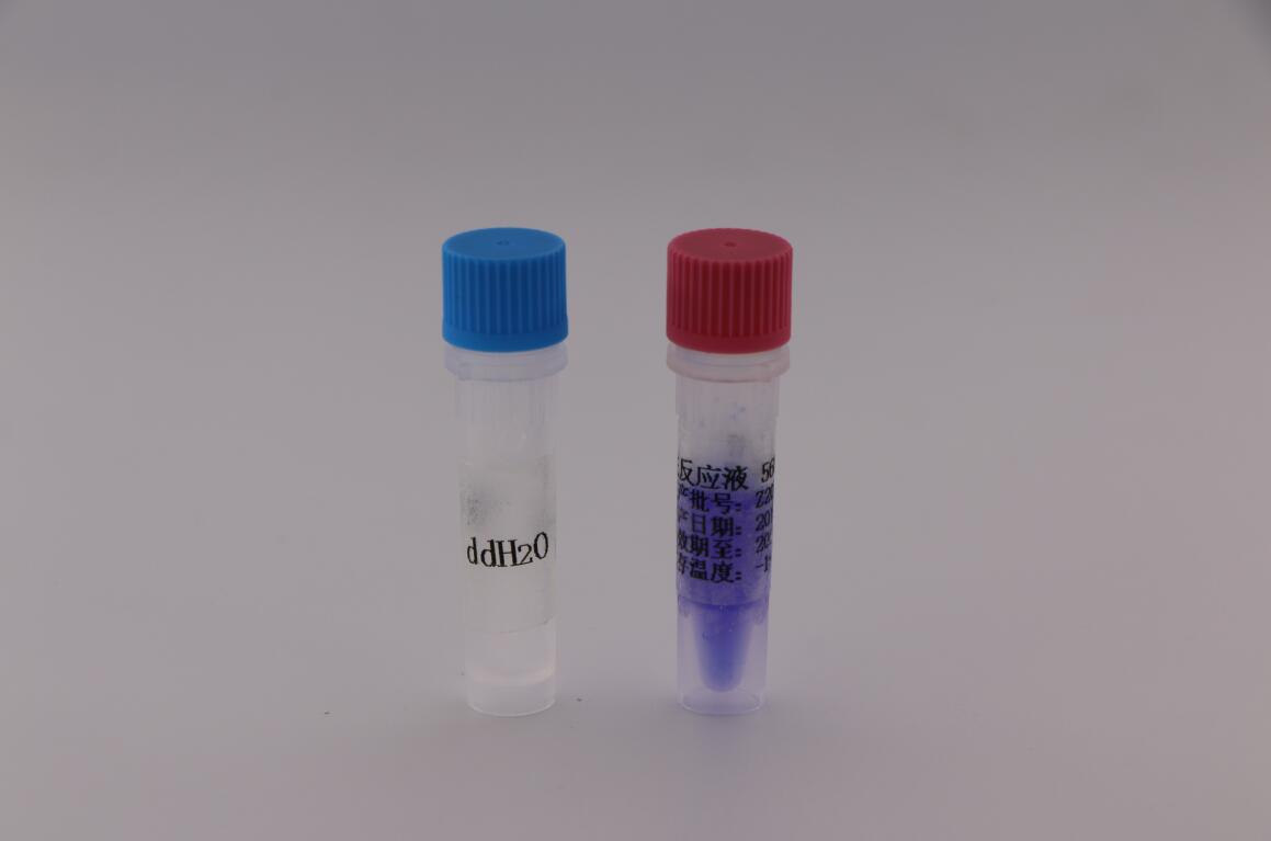 甜性涩爱迅雷下载