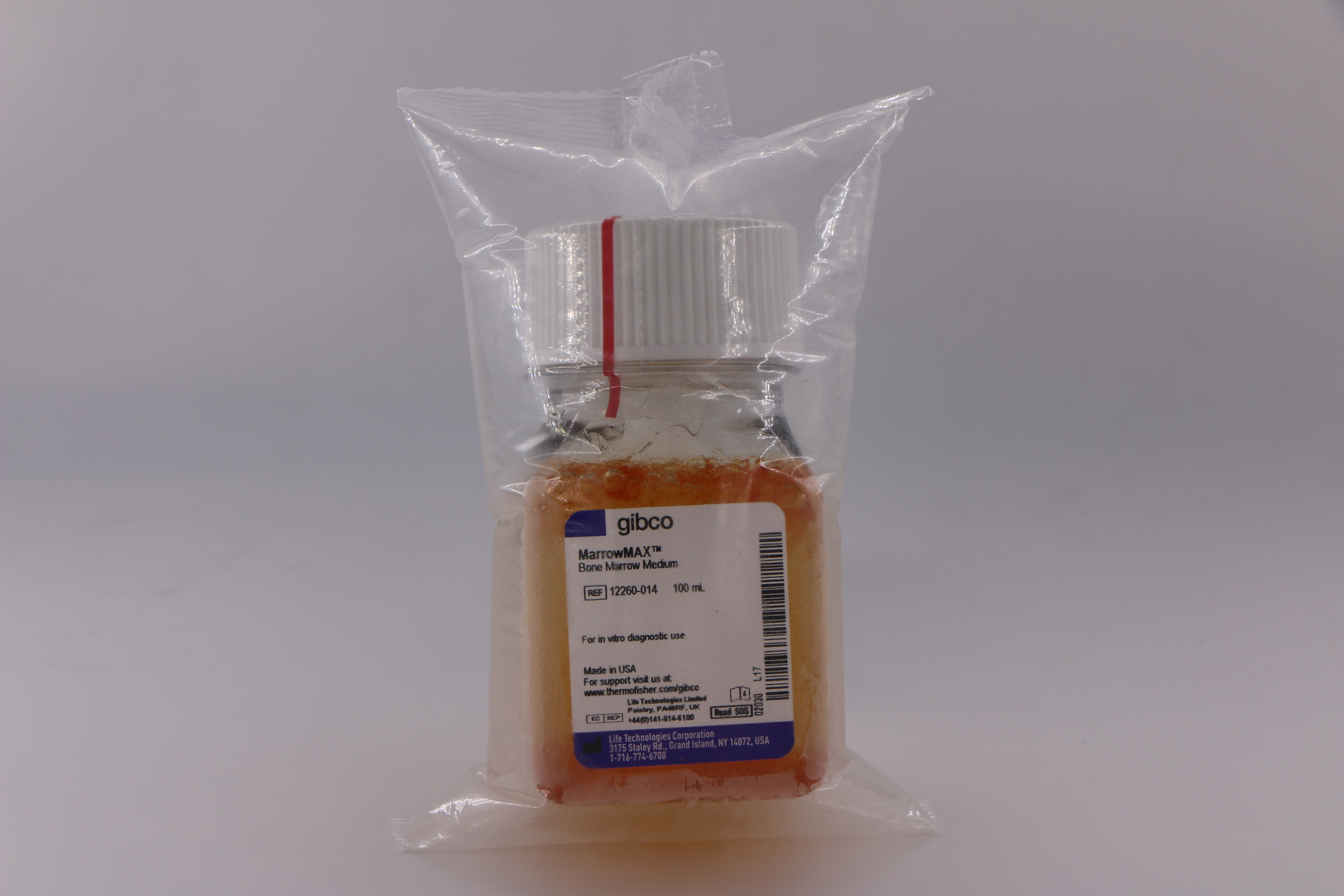 甜性涩爱迅雷下载