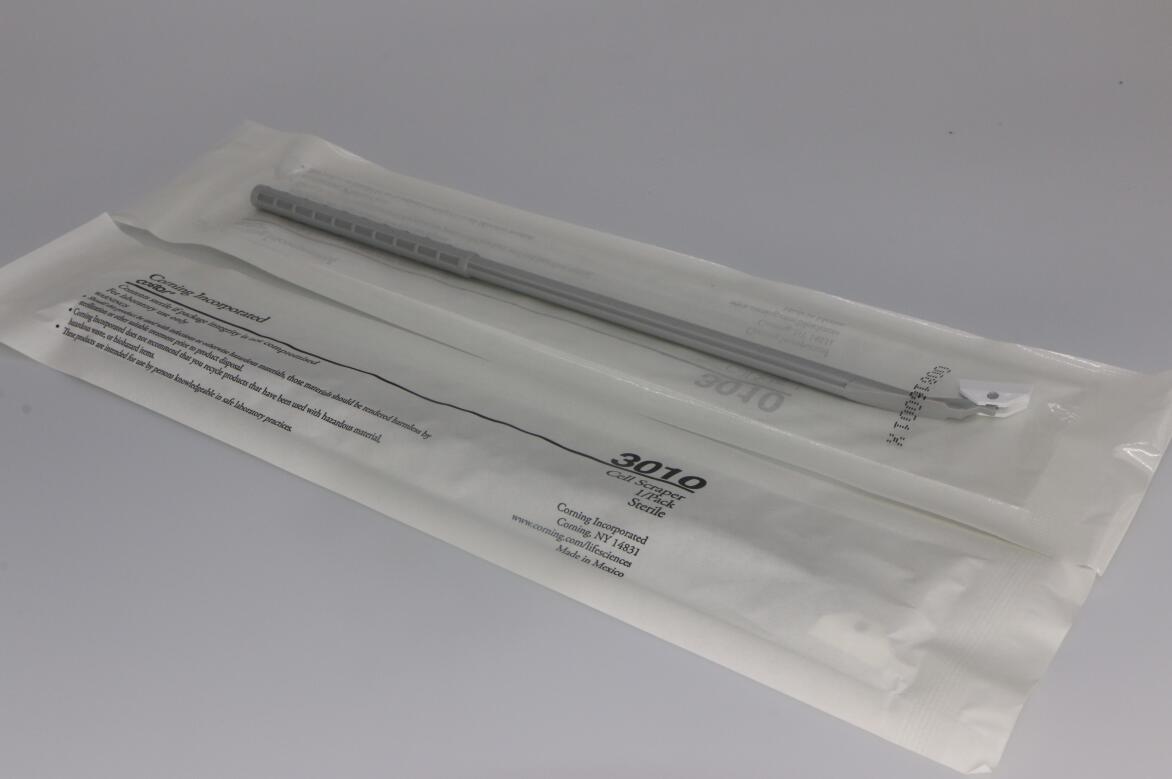 甜性涩爱迅雷下载