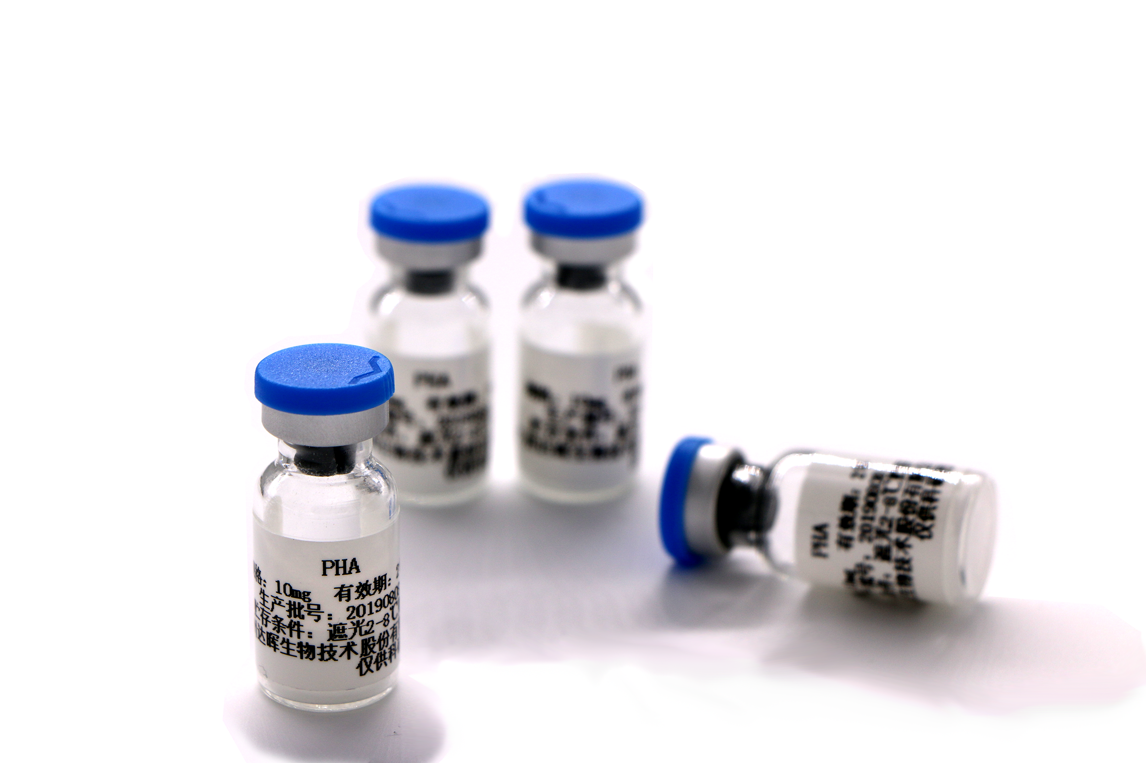 甜性涩爱迅雷下载