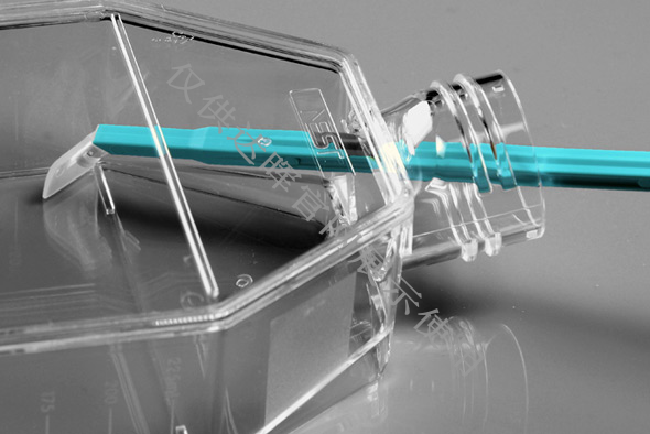 甜性涩爱迅雷下载