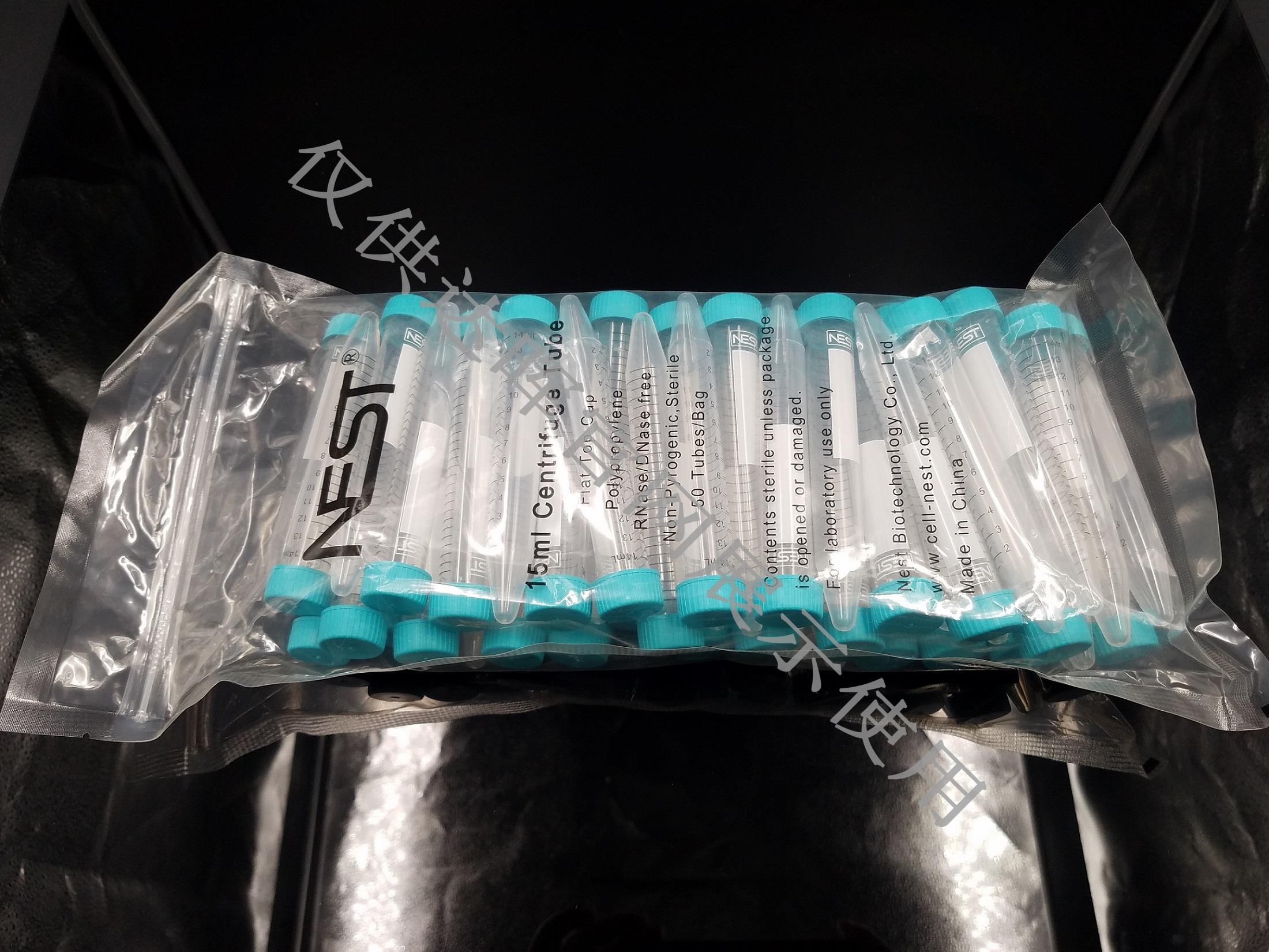 甜性涩爱迅雷下载