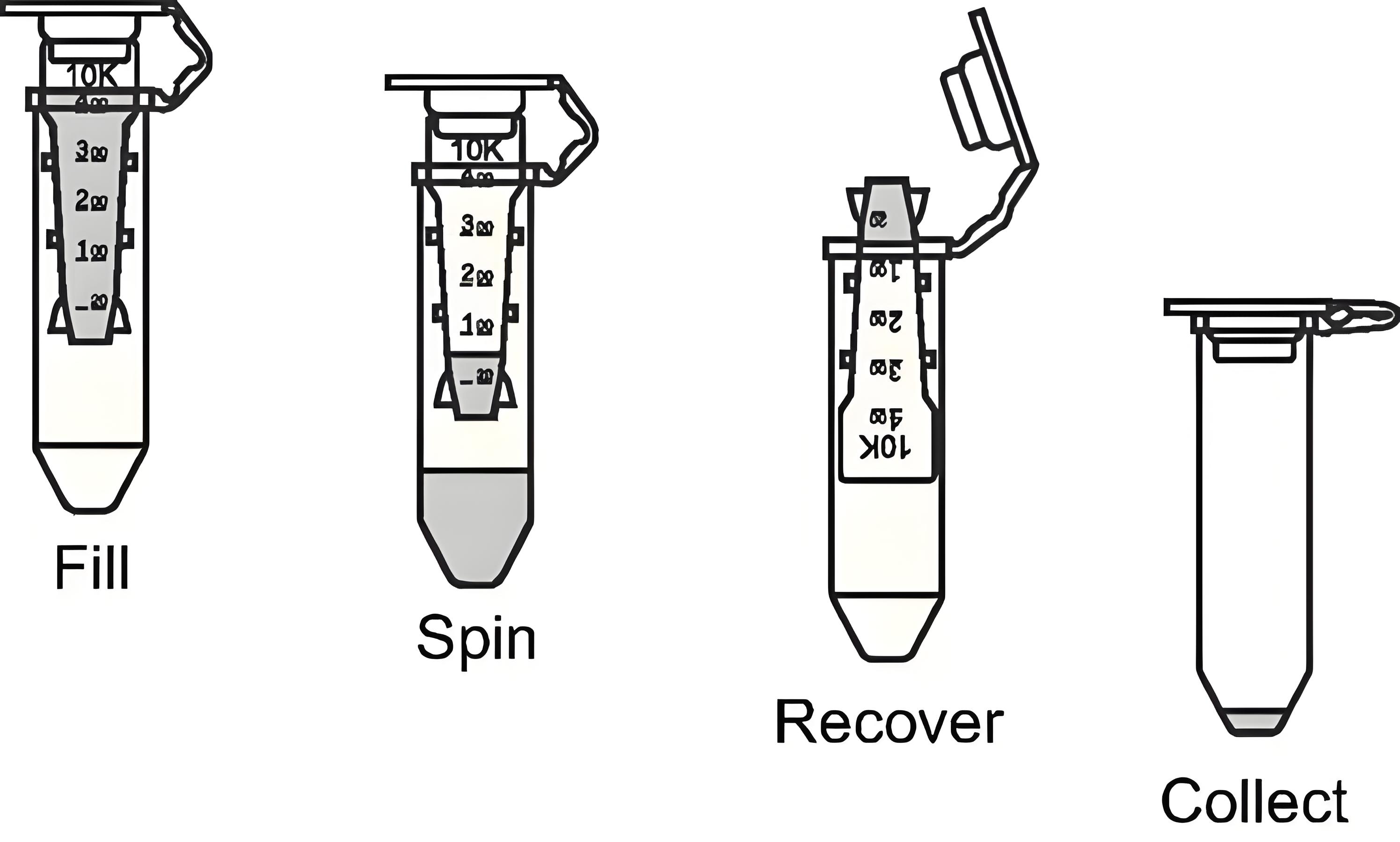 甜性涩爱迅雷下载