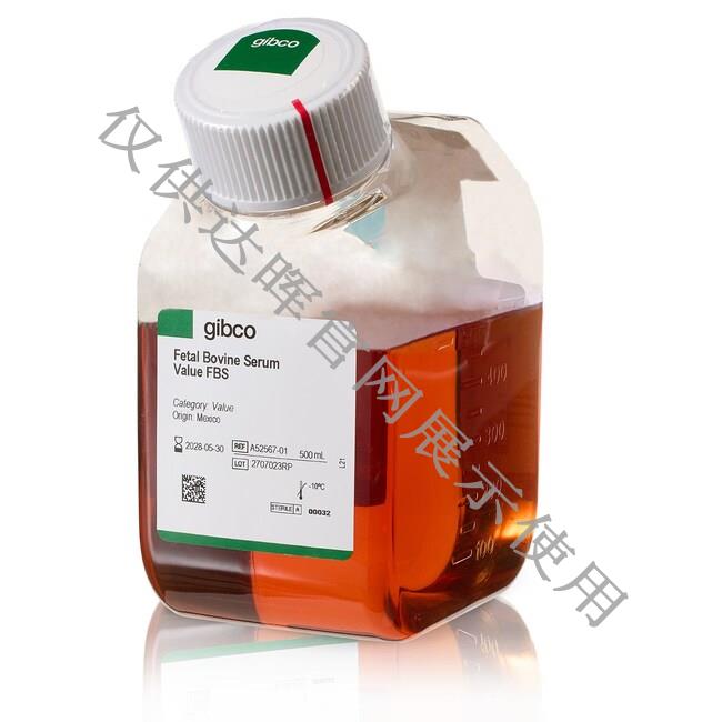 甜性涩爱迅雷下载