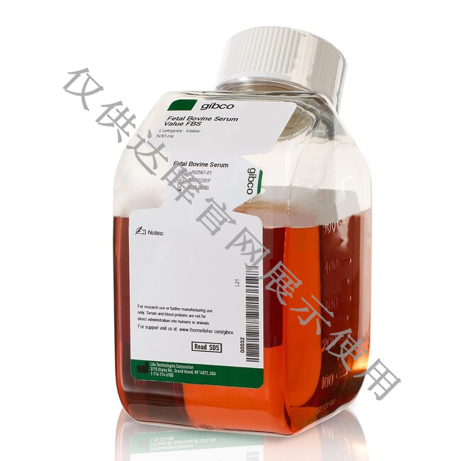 甜性涩爱迅雷下载