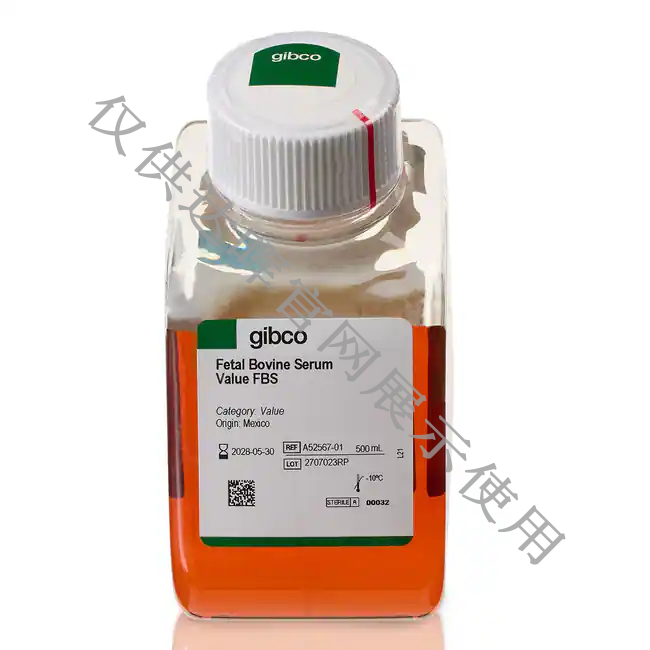 甜性涩爱迅雷下载