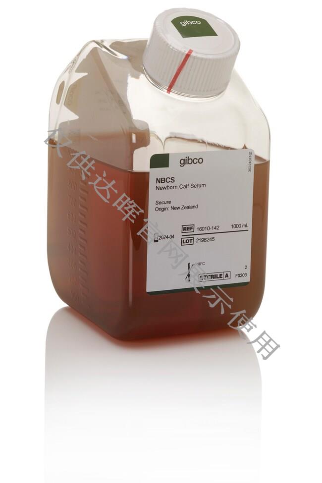 甜性涩爱迅雷下载