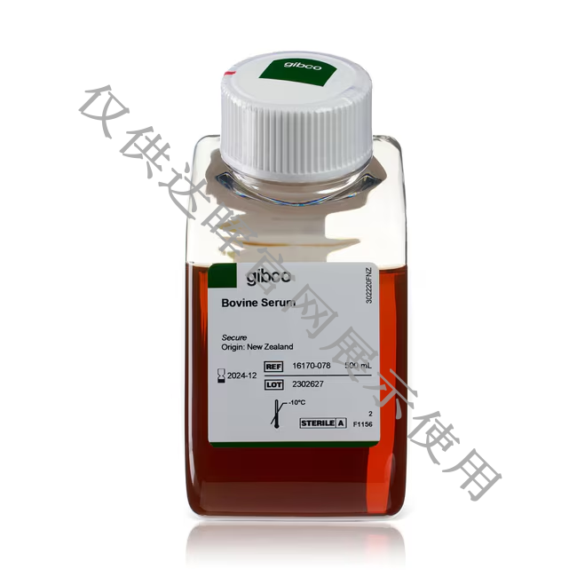 甜性涩爱迅雷下载