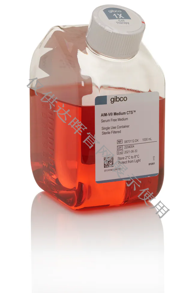 甜性涩爱迅雷下载