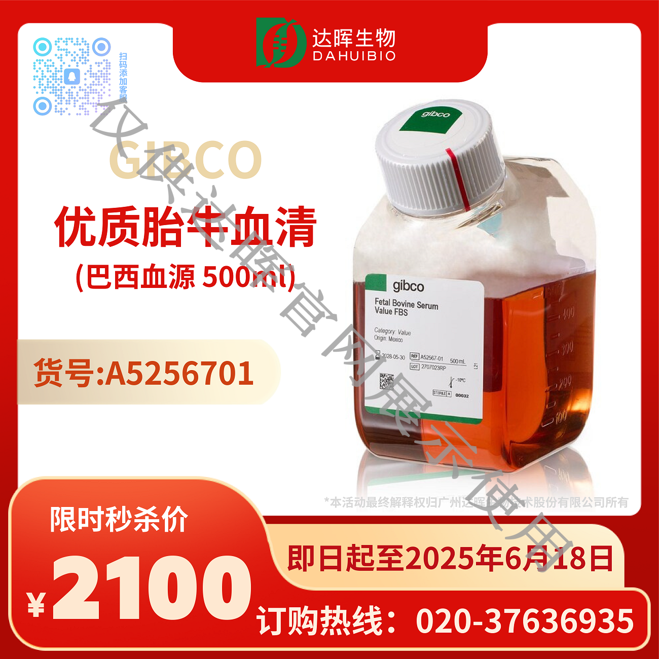 甜性涩爱迅雷下载