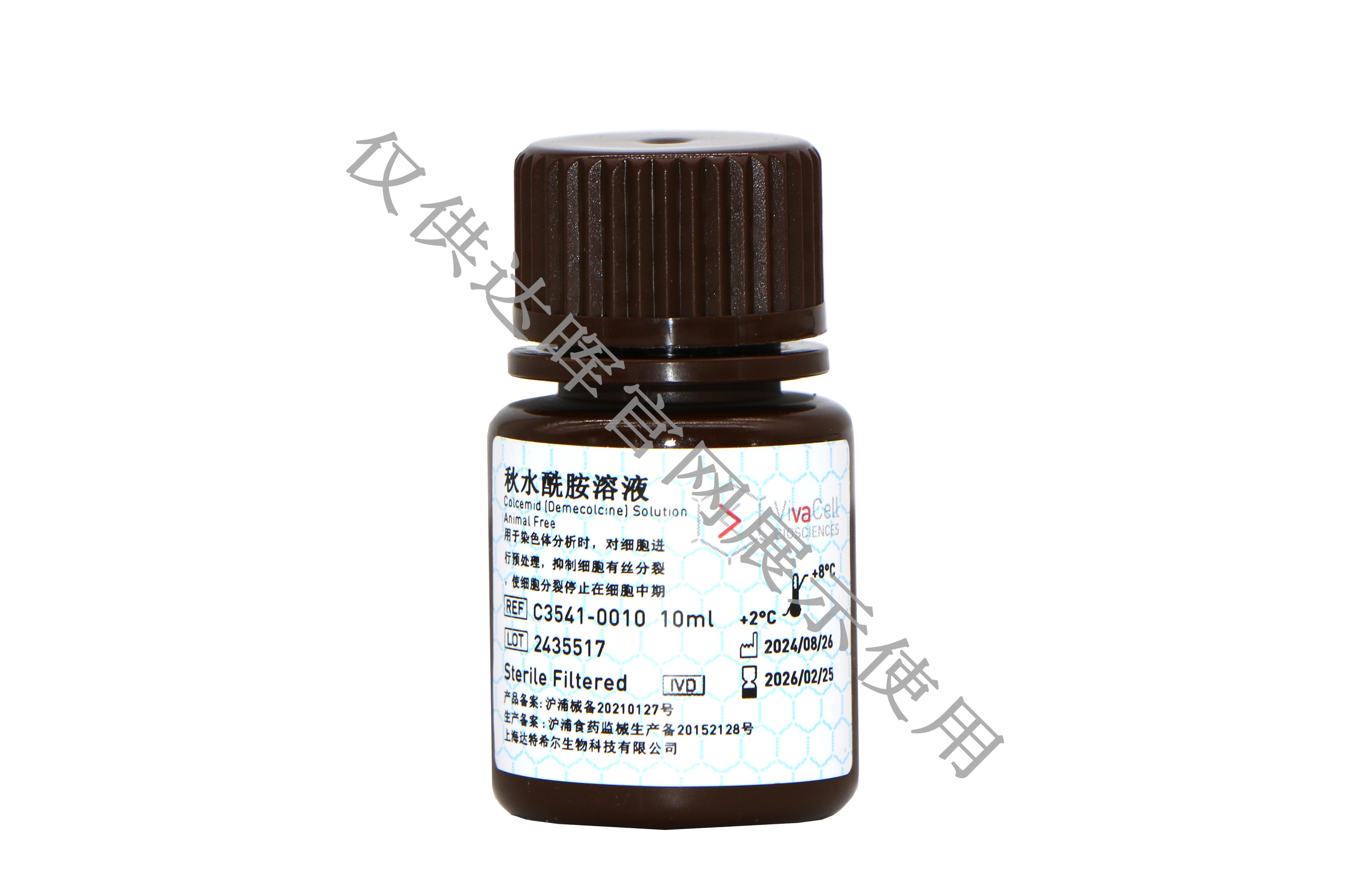 甜性涩爱迅雷下载