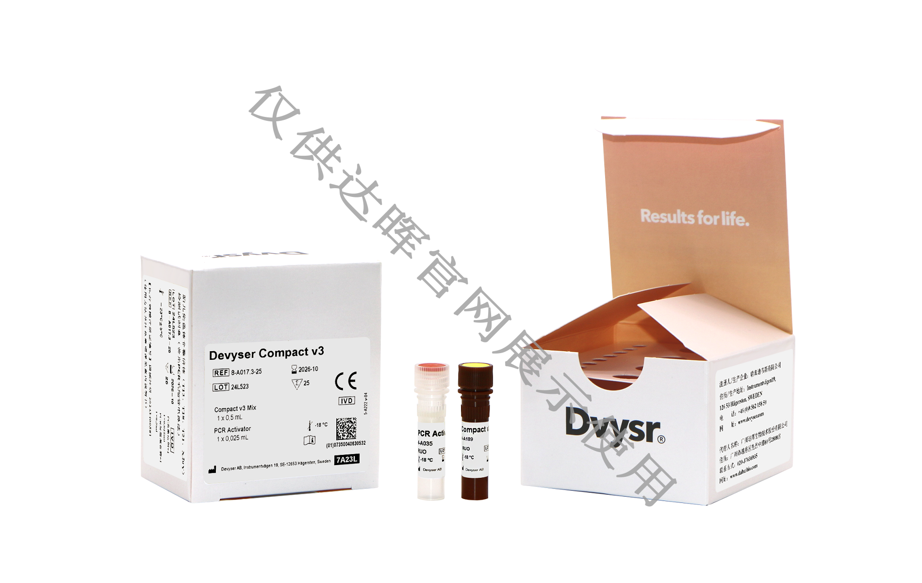 甜性涩爱迅雷下载