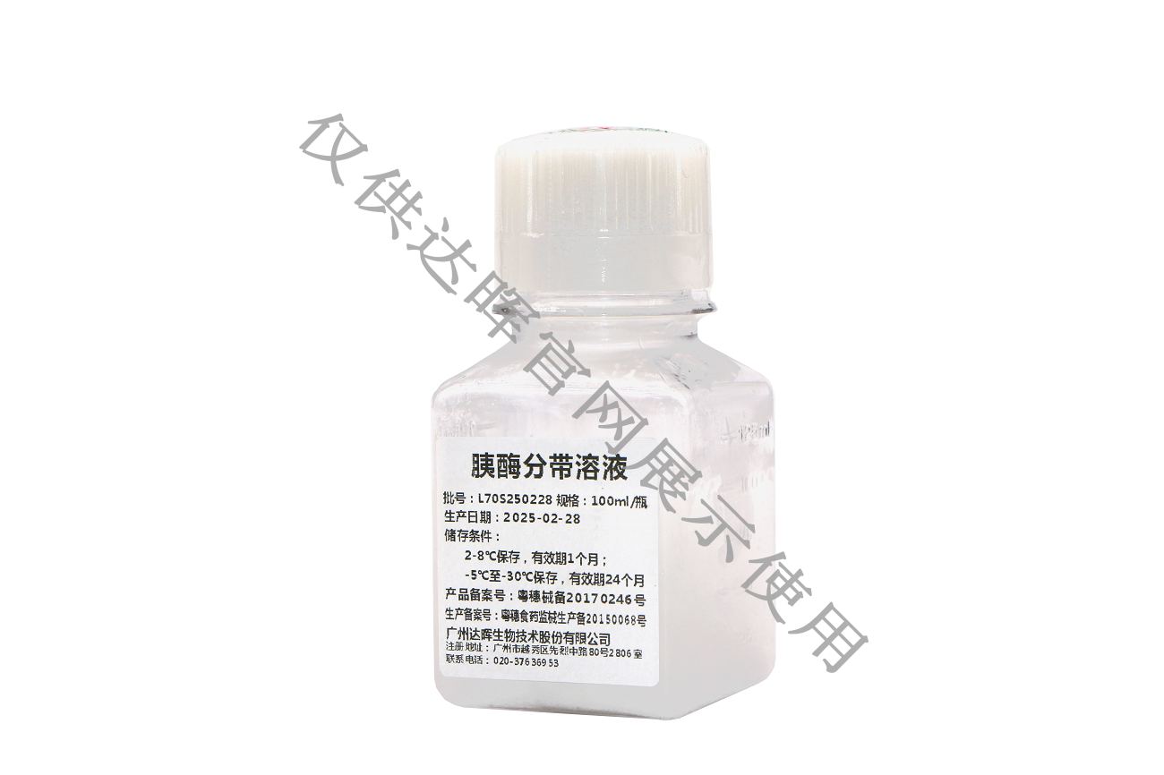 甜性涩爱迅雷下载