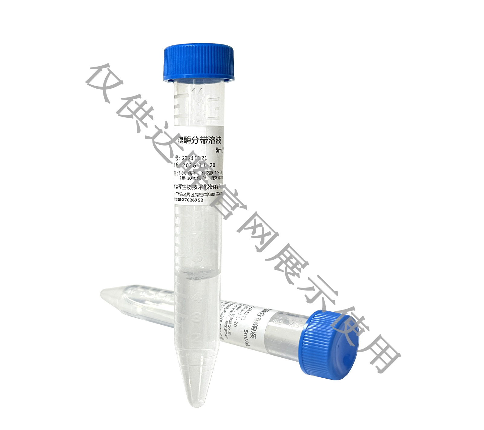 甜性涩爱迅雷下载