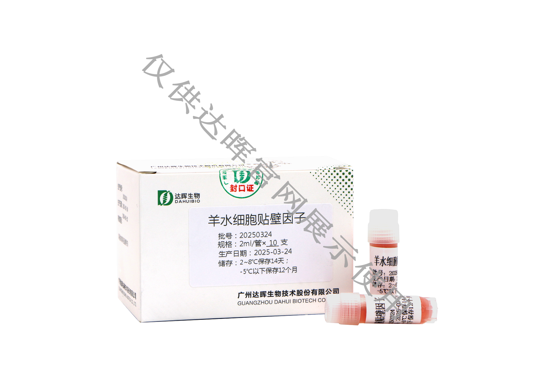 甜性涩爱迅雷下载