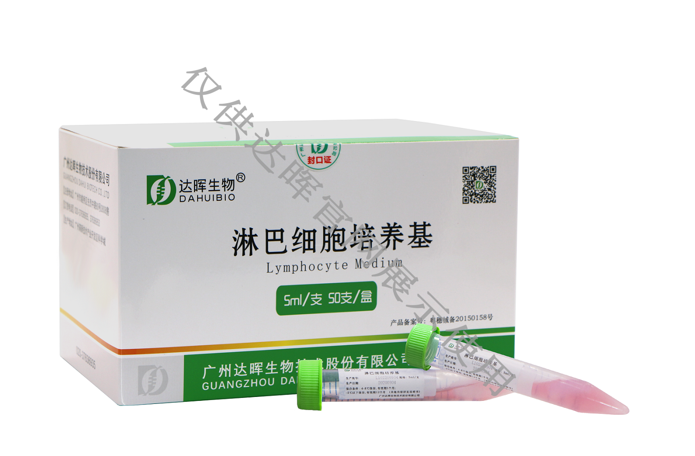 甜性涩爱迅雷下载