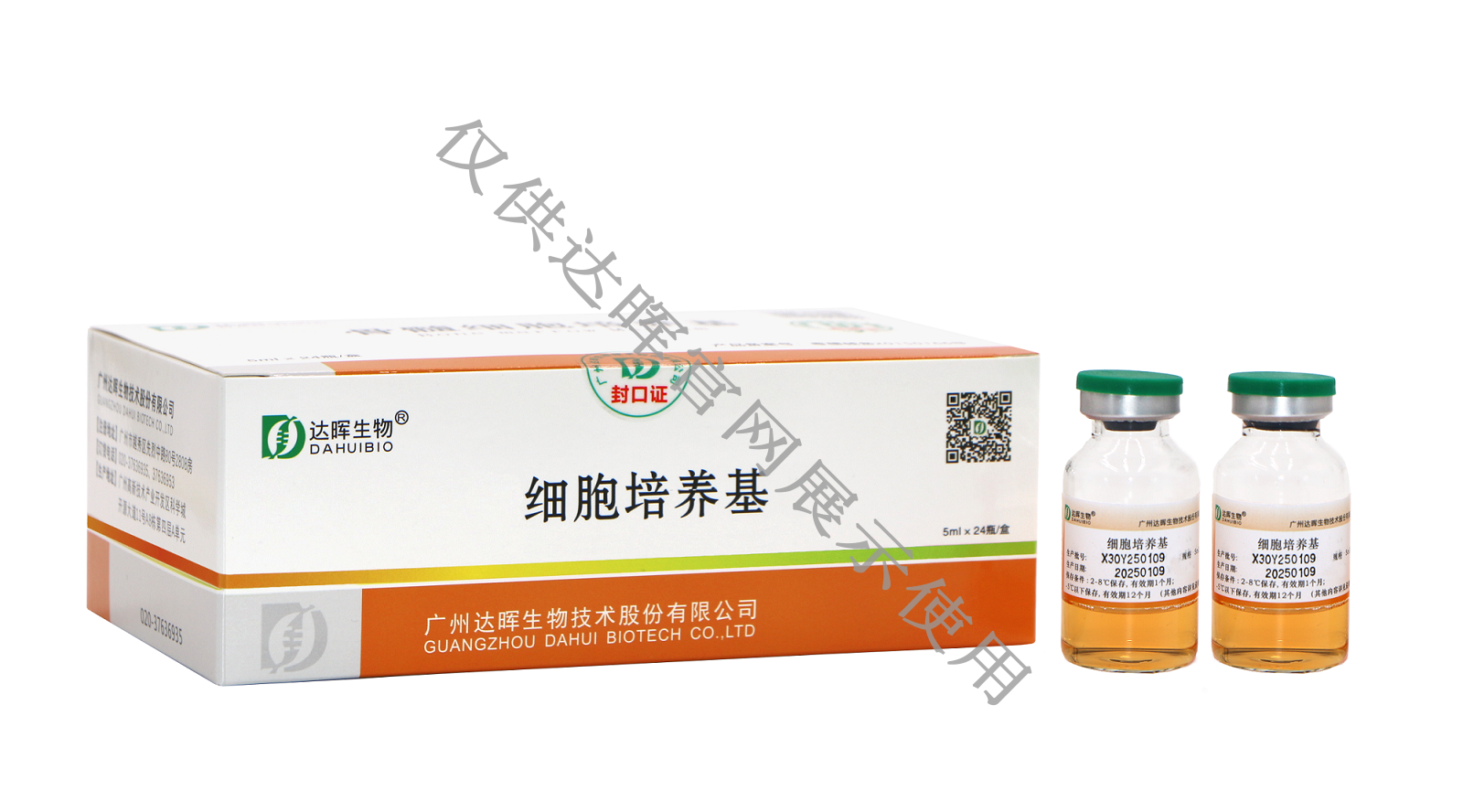 甜性涩爱迅雷下载