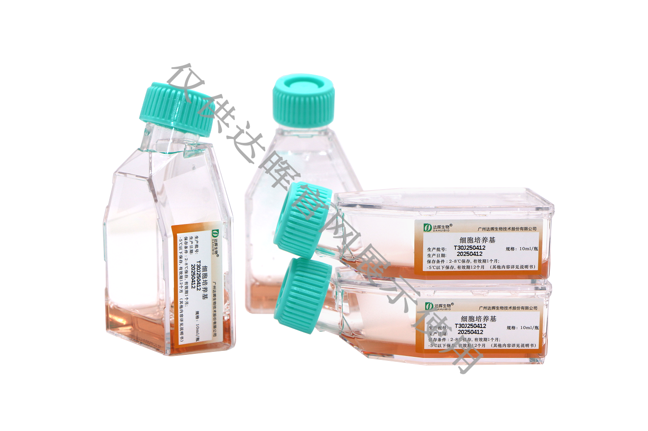 甜性涩爱迅雷下载