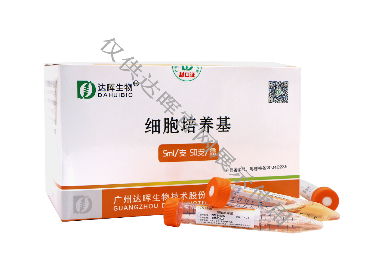 甜性涩爱迅雷下载