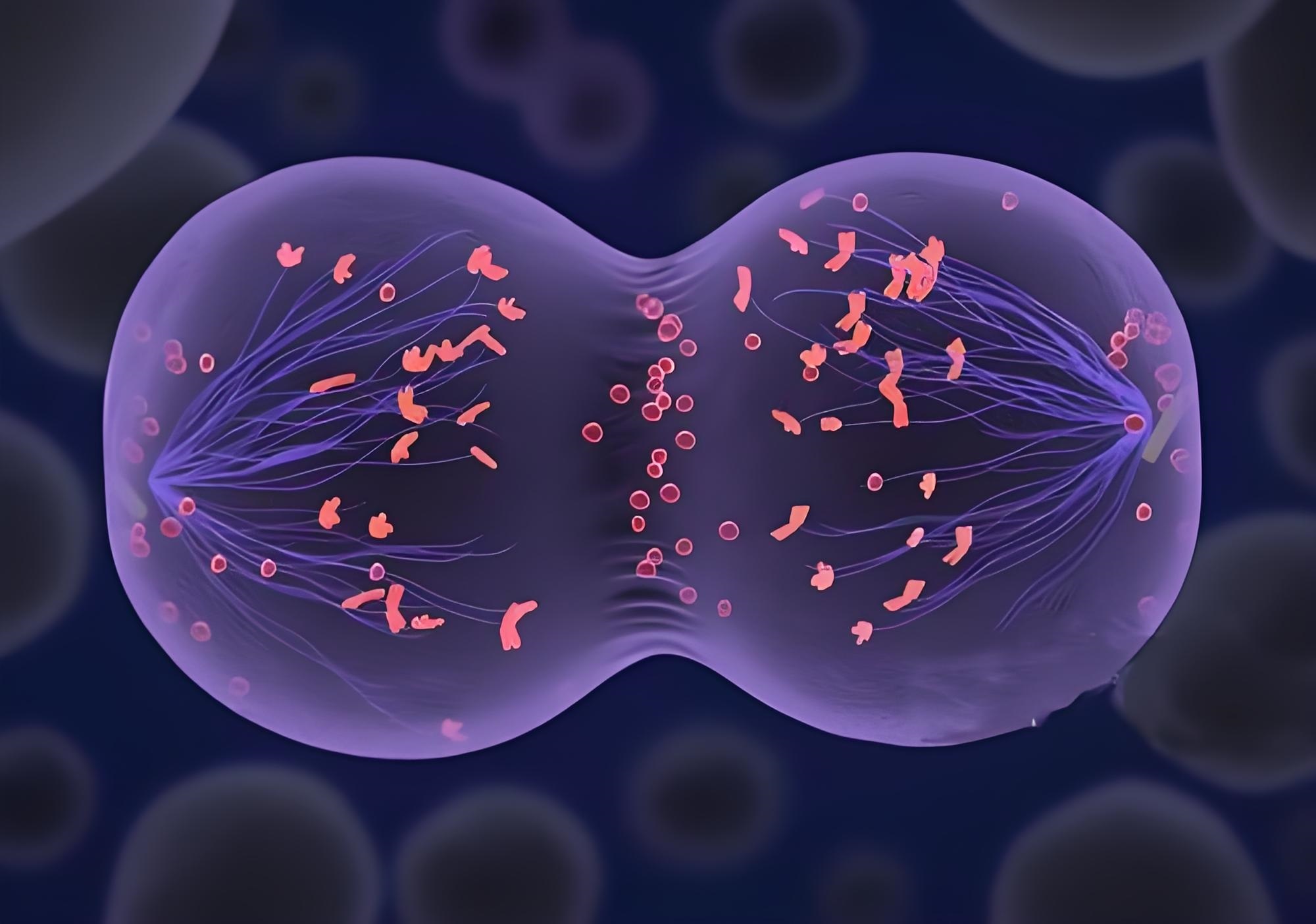 毛翠老师 | 即用型培养基联合CpG刺激技术，实现淋巴增殖性肿瘤的染色体异常检出率飞跃提升
