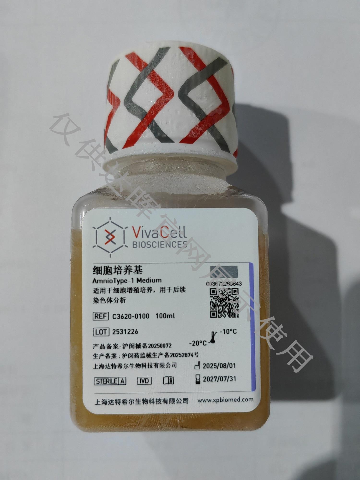 甜性涩爱迅雷下载